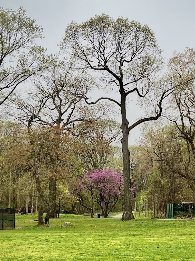 Cunningham Park Dog Run - Fresh Meadows, NY