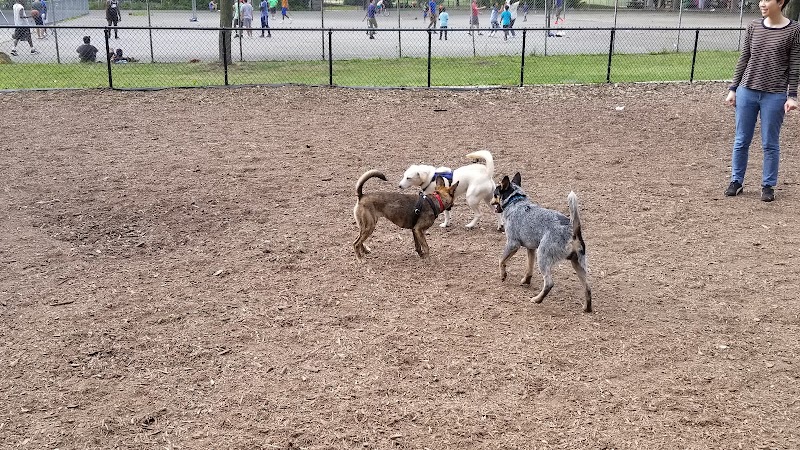 Cunningham Park Dog Run - Fresh Meadows, NY