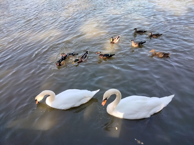 Kissena Park - Fresh Meadows, NY