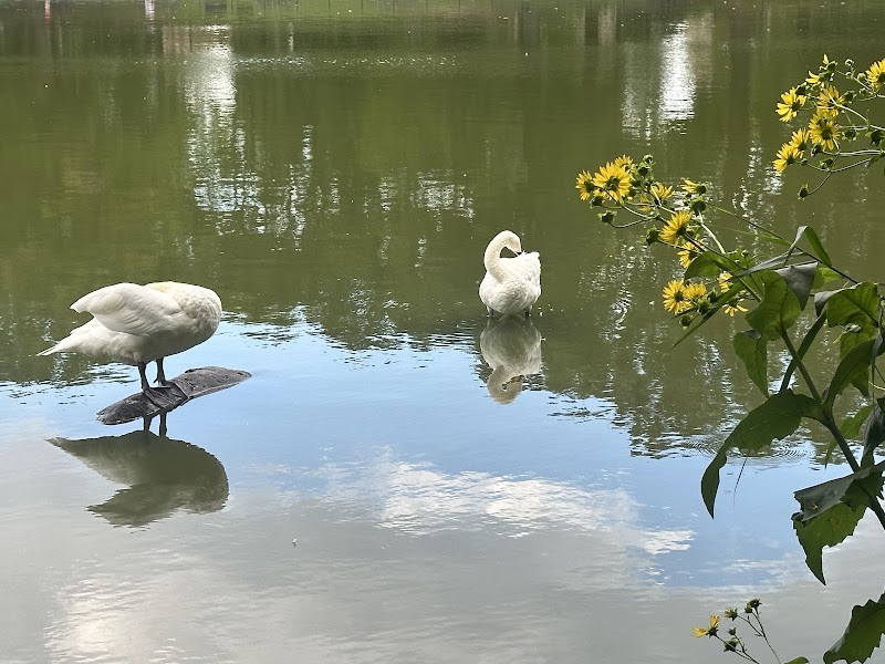 Kissena Park - Fresh Meadows, NY