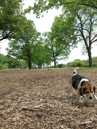 Locke County Dog Park - Fridley, MN