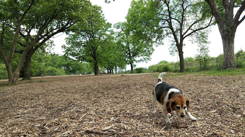 Locke County Dog Park - Fridley, MN