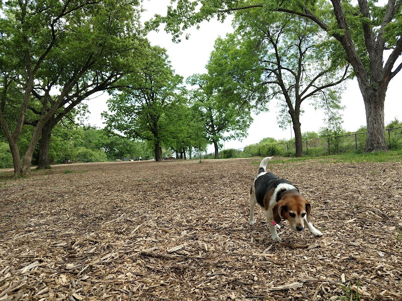 Locke County Dog Park - Fridley, MN