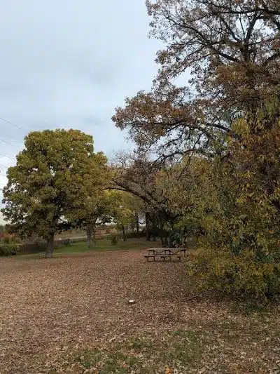 Locke County Dog Park - Fridley, MN