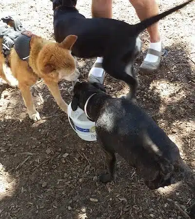Locke County Dog Park - Fridley, MN