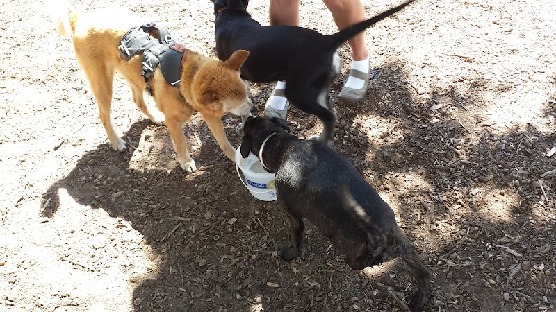 Locke County Dog Park - Fridley, MN