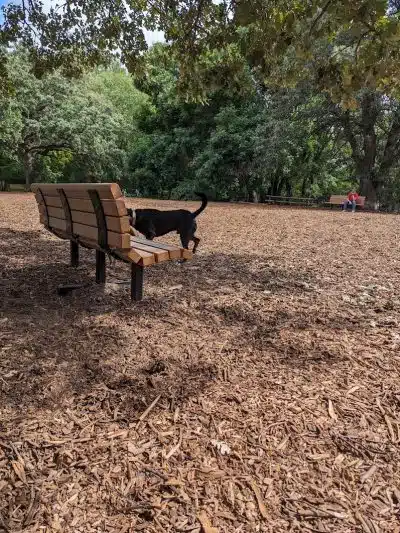 Locke County Dog Park - Fridley, MN
