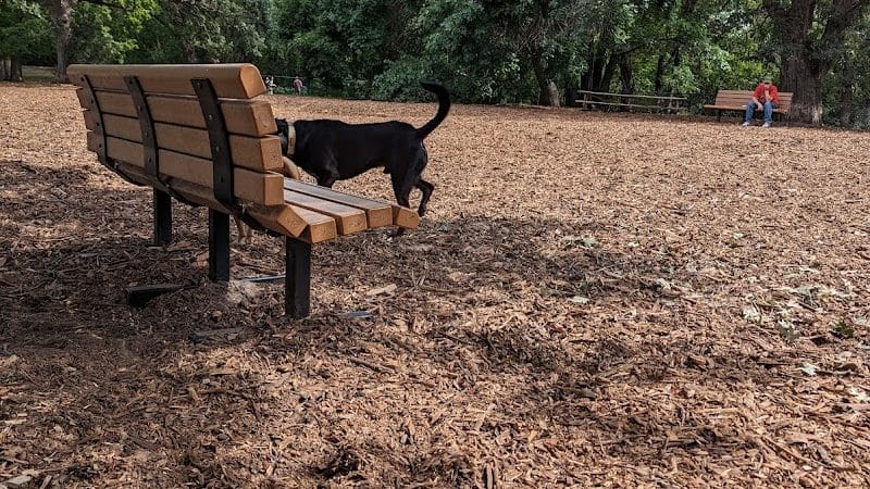 Locke County Dog Park - Fridley, MN