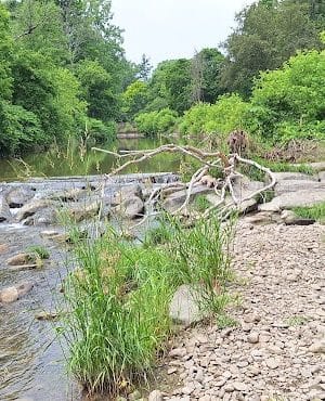 Island Park - Friendship, NY