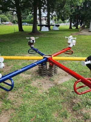 Island Park - Friendship, NY