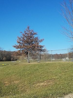 Parris N. Glendening Recreation Complex - Frostburg, MD