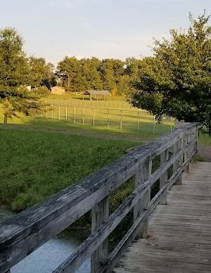 Parris N. Glendening Recreation Complex - Frostburg, MD