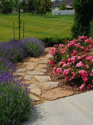 Hidden Meadows Park