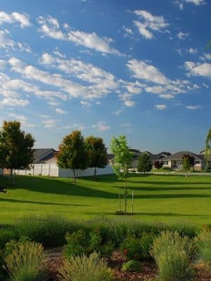 Hidden Meadows Park