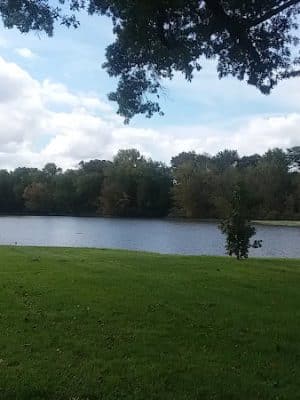 Cattail Park