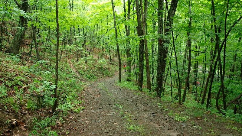 Max V. Shaul State Park - Fultonham, NY