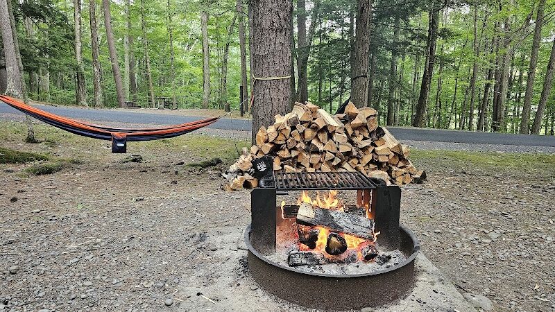 Max V. Shaul State Park - Fultonham, NY