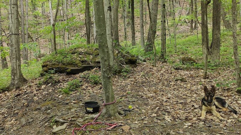 Max V. Shaul State Park - Fultonham, NY