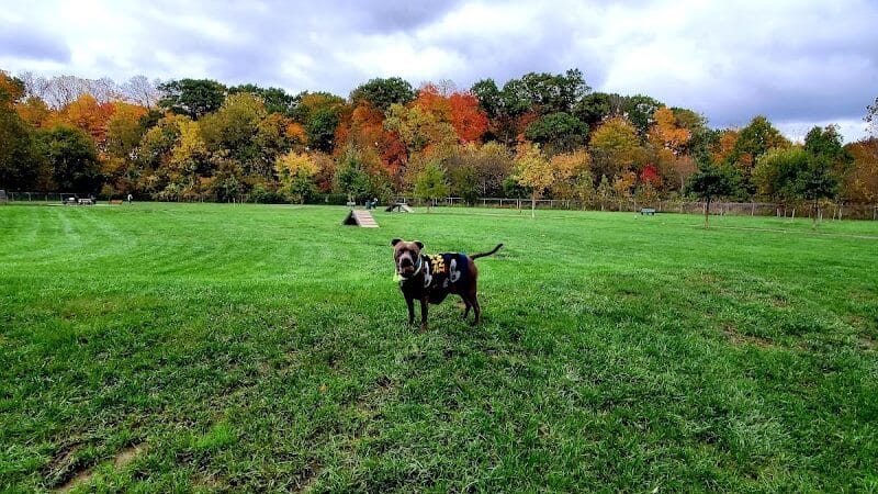 Pizzurro Park - Gahanna, OH