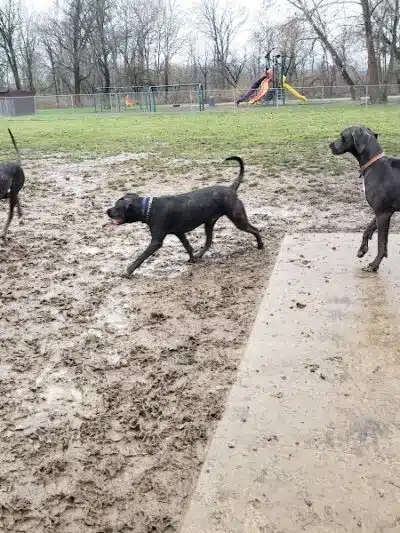 Pizzurro Park - Gahanna, OH