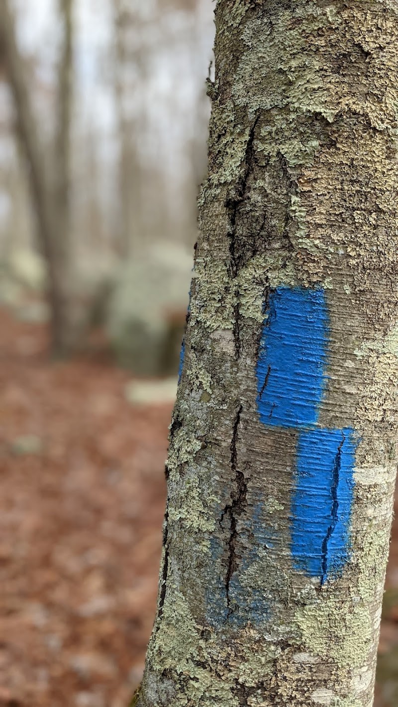 Ledyard Glacial Park - Parking Lot - Gales Ferry, CT