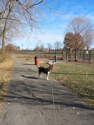 Project Dog Park - Connie Nott Canine Area - Galesburg, IL