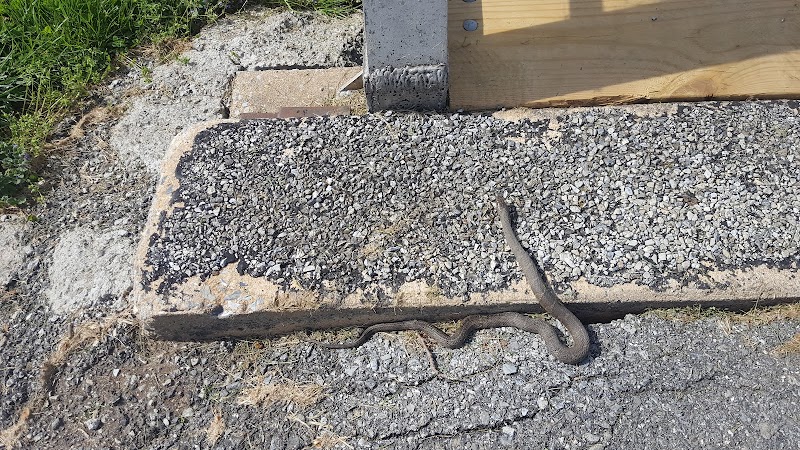 Salisbury Township Community Park - Gap, PA