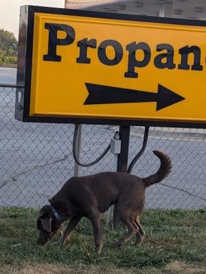 Dog Park at Love's Travel Stops