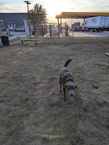 Dog Park at Love's Travel Stops