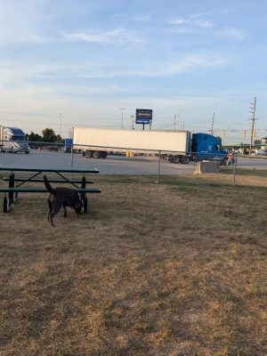 Dog Park at Love's Travel Stops