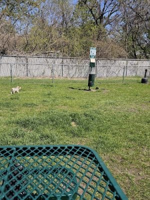Dog Park at Love's Travel Stops