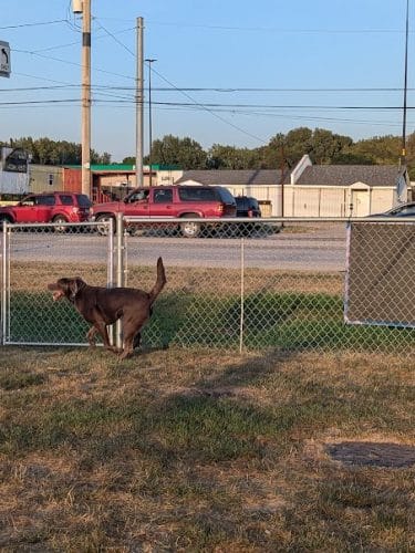 Dog Park at Love's Travel Stops