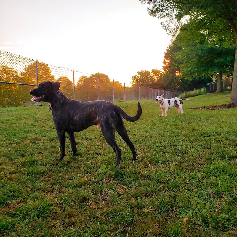 Bradley Station Dog Park