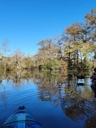 Merchants Millpond State Park