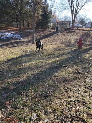 Geneseo Prairie Park