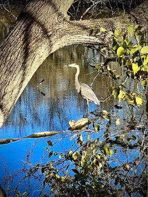 Hennepin Canal Pkwy Trail