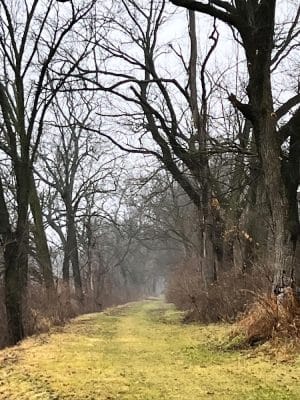 Hennepin Canal Pkwy Trail