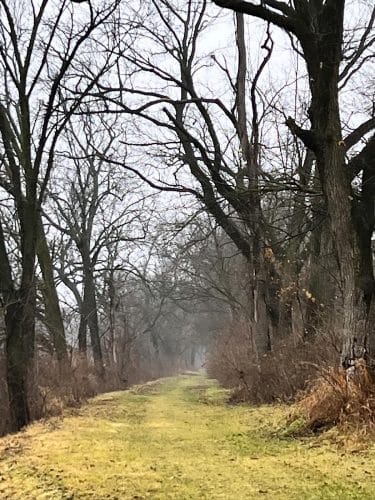 Hennepin Canal Pkwy Trail