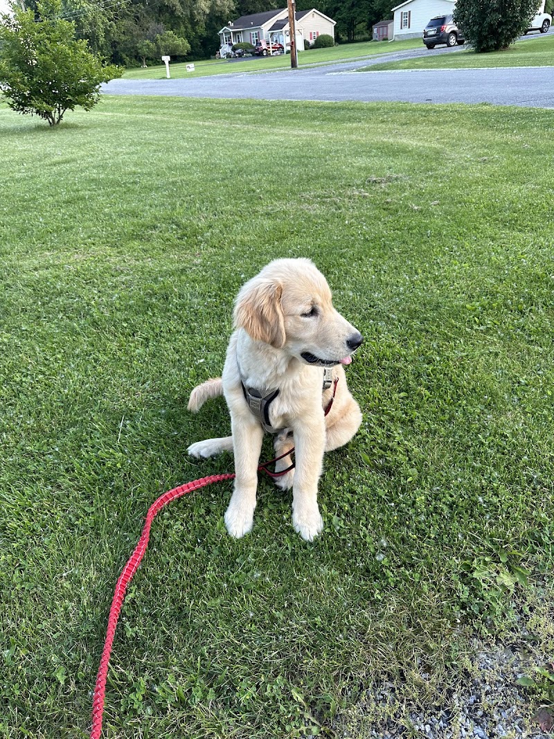 Highland Park - Geneseo, NY