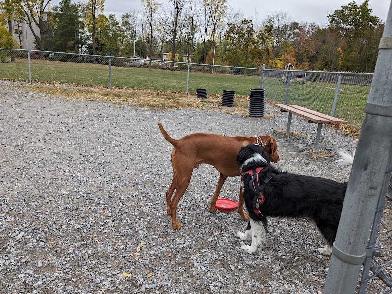 Highland Park - Geneseo, NY