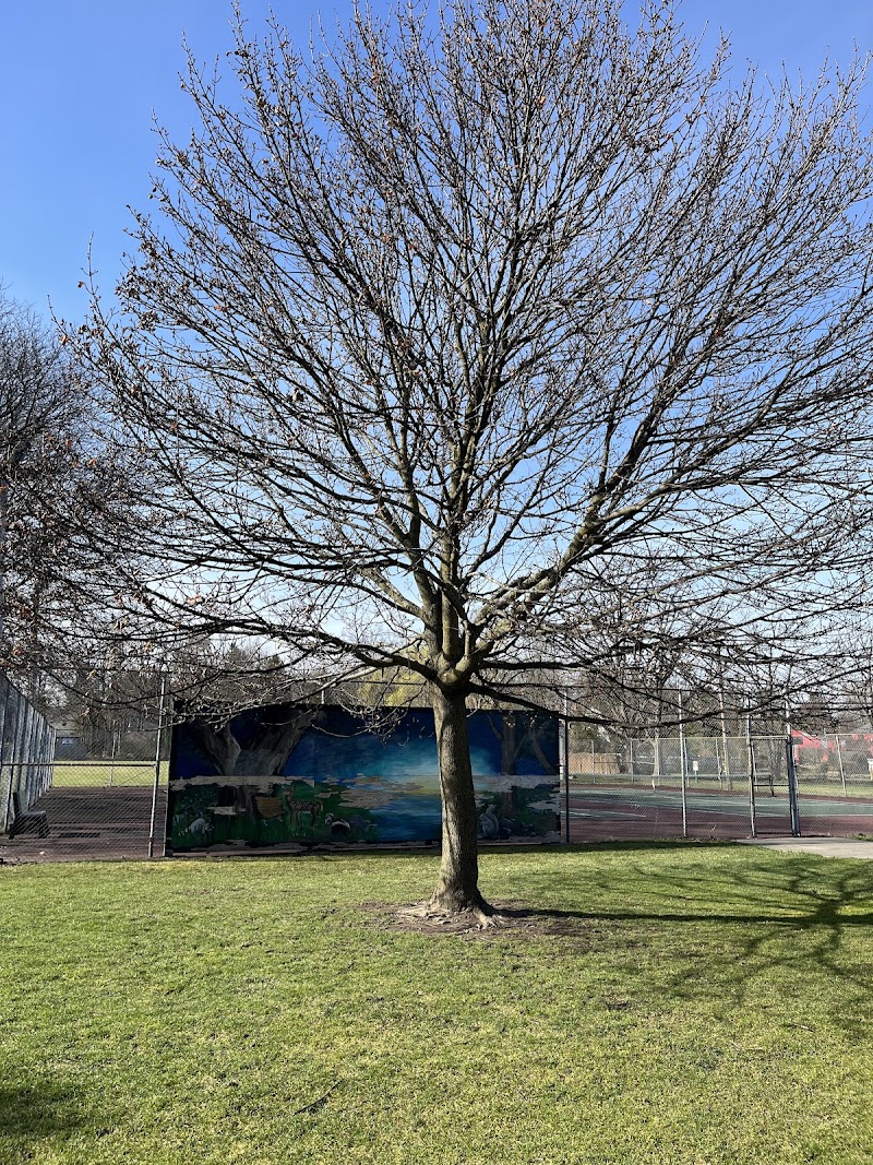 Highland Park - Geneseo, NY