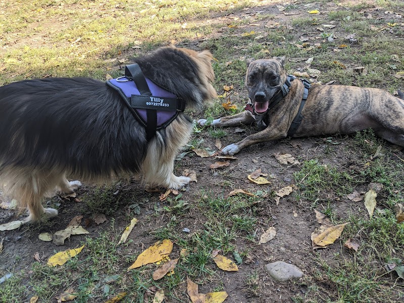 Geneva Bark Park - Geneva, NY