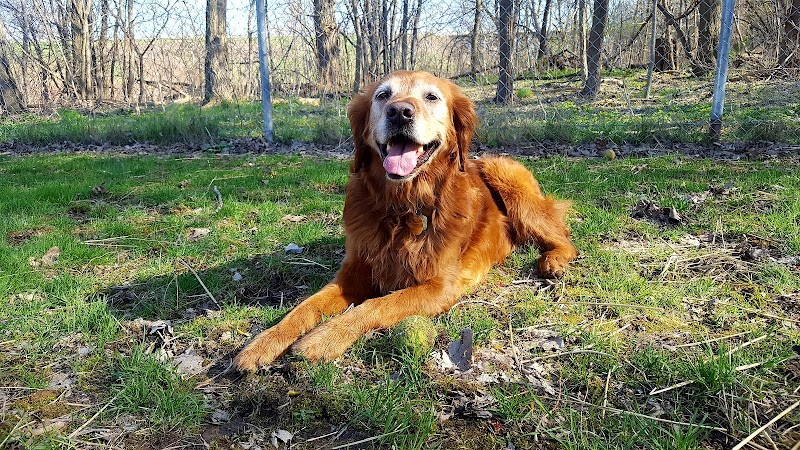 Geneva Bark Park - Geneva, NY