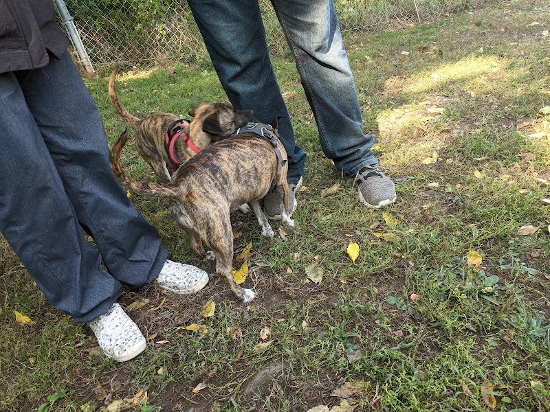 Geneva Bark Park - Geneva, NY