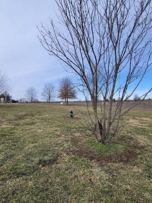 Scott County Dog Park - Georgetown, KY