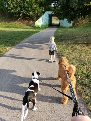 Scott County Dog Park - Georgetown, KY