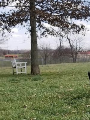 Scott County Dog Park - Georgetown, KY