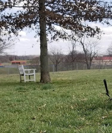 Scott County Dog Park - Georgetown, KY