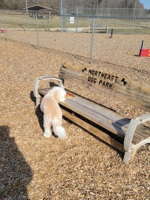 Northeast Dog Park