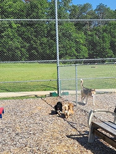 Northeast Dog Park
